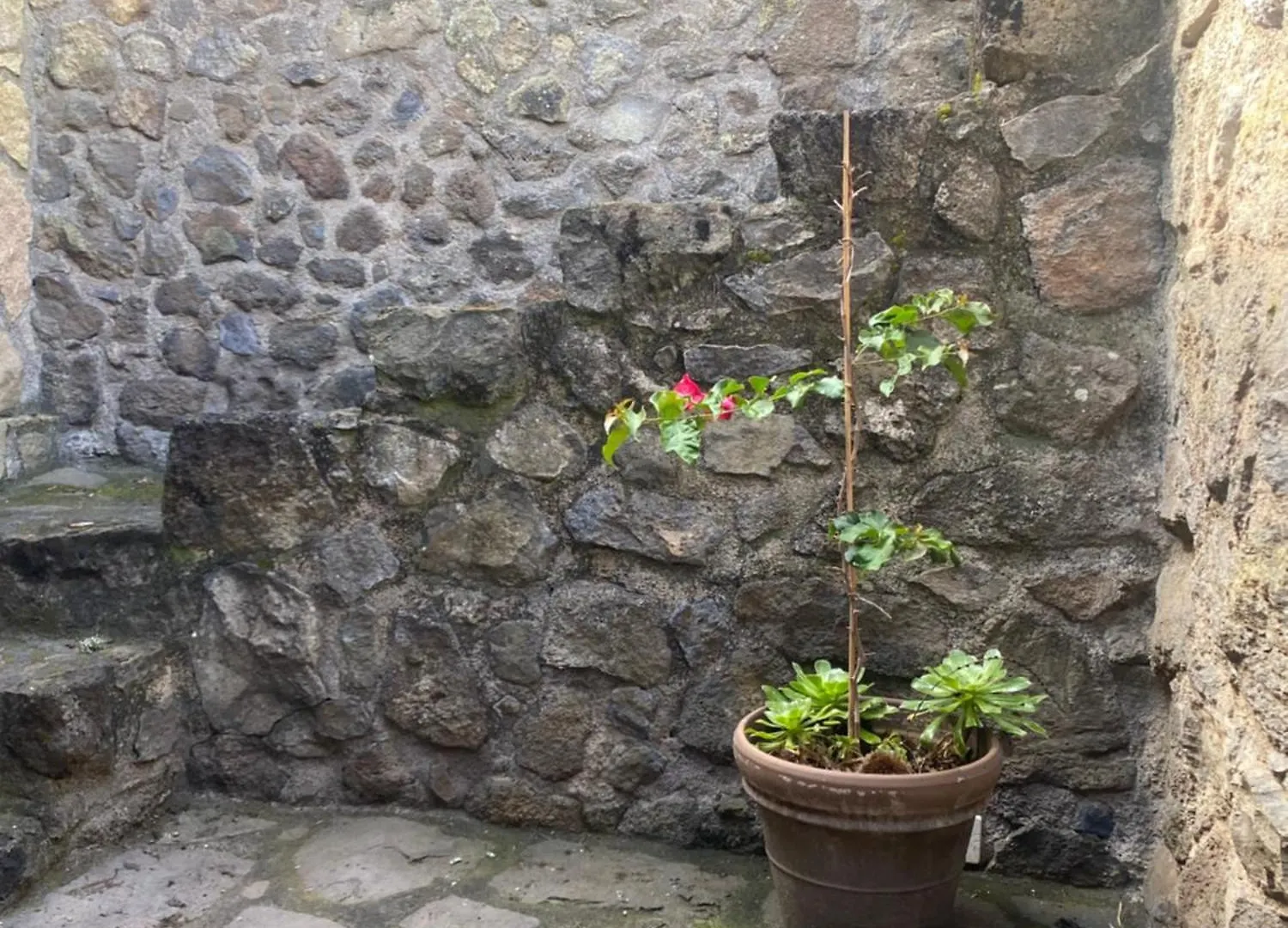 Сasa de vacaciones Rural House To Take A Break, La Serreria 25 - Private Garden Tacoronte
